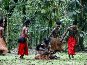 Mengenal Tari Seka, Tarian Asli Suku Kamoro di Papua