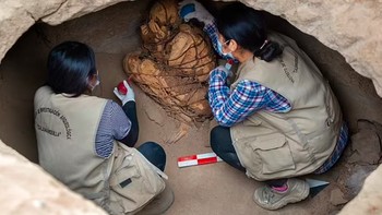 “Setelah jasadnya ditempatkan di kuburan, tetap ada aktivitas konstan. Anak cucunya kerap kembali bertahun-tahun kemudian, menempatkan makanan dan persembahan di sana, termasuk ini,” papar Van Dalen. Para ilmuwan ini pun menyimpulkan mumi bersangkutan kemungkinan bukan warga biasa, melainkan orang penting. Foto: Universidad Nacional Mayor de San Marcos