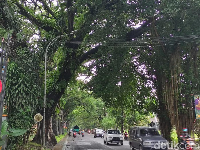 PJU di Jalan Mayjen Sungkono Kota Malang