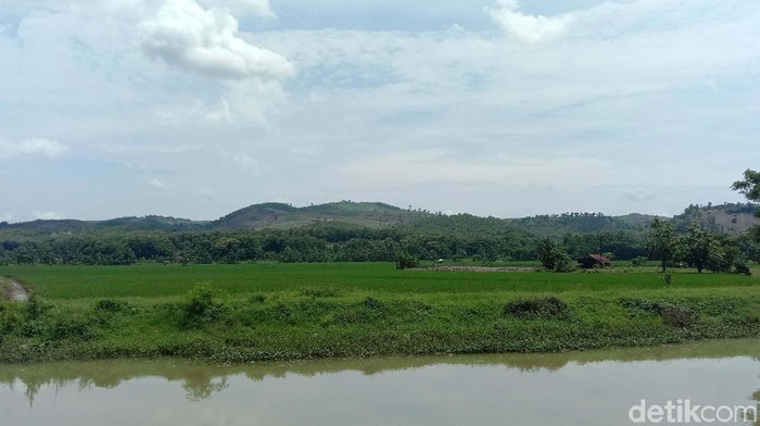 Potret Gundulnya Pegunungan Kendeng yang Jadi Pemicu Banjir Pegunungan Kendeng, Kabupaten Kudus tampak gundul. Hal ini diduga jadi pemicu banjir bandang di Desa Wonosoco Kecamatan Undaan, Kabupaten Kudus, Jateng.
