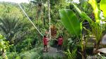 Foto: Kulineran Asyik Ditemani Hijau Alam Bali