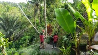 Nah untuk traveler yang mau memacu adrenalin bisa naik ayunan tinggi ini. (Elmy Tasya Khairally/detikcom)