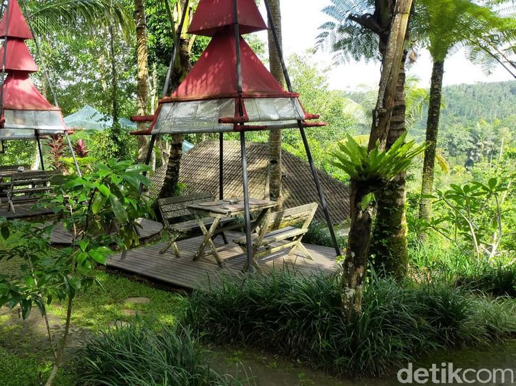 Foto: Kulineran Asyik Ditemani Hijau Alam Bali