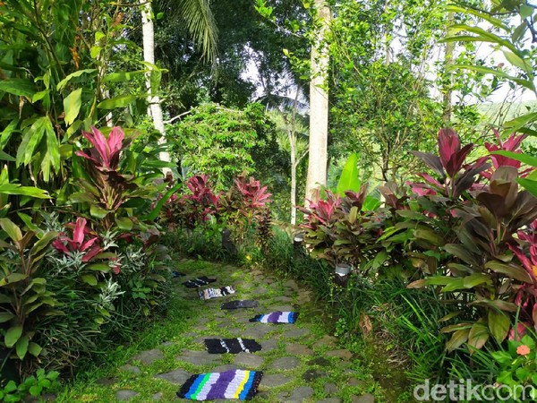 Lokasinya berada di Jalan Raya Pujung Klod, Sebatu, Kecamatan Tegallalang, Kabupaten Gianyar, Bali. (Elmy Tasya Khairally/detikcom) Lokasinya berada di Jalan Raya Pujung Klod, Sebatu, Kecamatan Tegallalang, Kabupaten Gianyar, Bali. (Elmy Tasya Khairally/detikcom)
