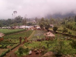 Suku Tengger Disebut Keturunan Terakhir Majapahit