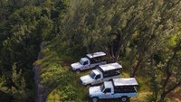 Masuk lebih dalam ke pedalaman, medan pulau yang beragam menawarkan sejumlah kegiatan untuk dinikmati, termasuk bersepeda melalui hutan tropis yang lebat, menemukan gua-gua air di Gua Harrison atau hiking di antara flora dan fauna Welchman Hall Gully, Flower Forest atau Suaka Margasatwa Barbados. (dok Visit Barbados)