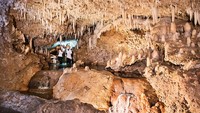 Kamu yang ingin menjajali alam Barbados bisa dengan off road, jelajah gua, hiking, island safari, berkuda dan lainnya. Salah satu yang populer adalah wisata ke Gua Harrison. (dok Visit Barbados)