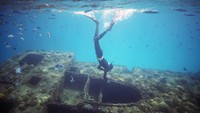 Barbados adalah satu-satunya pulau batu kapur karang di Karibia. Ini menyediakan terumbu karang tepi di sepanjang garis pantai dan menjadikannya tujuan kelas satu untuk menyelam. Mereka tentu saja punya banyak spot cantik untuk diving. (dok Visit Barbados)
