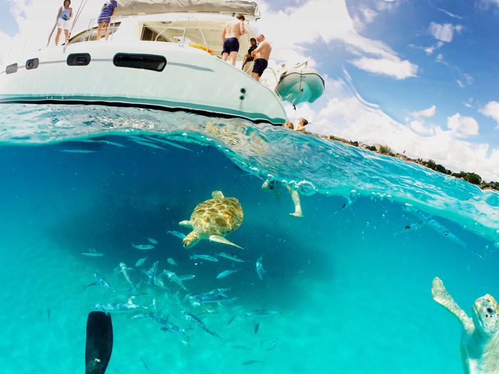 Wisata Barbados