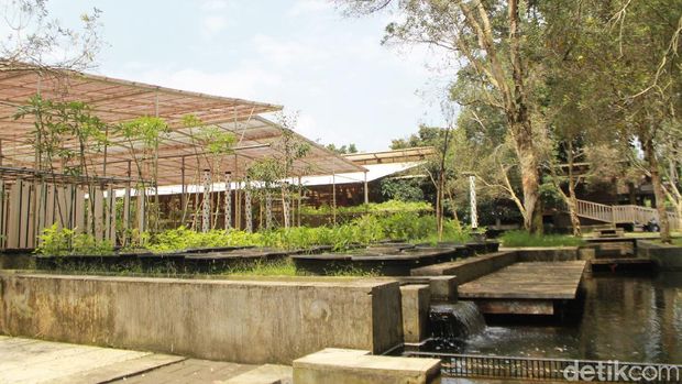 Asyiknya Berwisata Sambil Belajar Menjadi Peternak Dan Petani Kuntum Farm Field Bogor