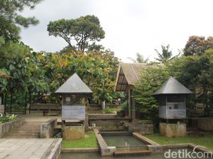 Berwisata Sambil Belajar Menjadi Peternak dan Petani di Kuntum Farm Field