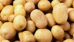 Kamu Sudah Tahu? 15 Makanan Ini Tak Perlu Disimpan di Kulkas Lho!
