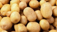 Kentang juga termasuk bahan makanan yang tak cocok disimpan di kulkas. Simpan kentang di dalam kantong kertas, kemudian taruh di tempat gelap seperti lemari dapur. Kentang bisa bertahan sekitar 3 minggu.