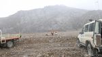 Freeport Targetkan Reklamasi 900 Ha Tambang Grasberg hingga 2030