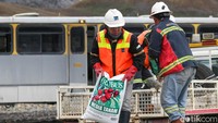 Adapun vegetasi yang ditanam di sini berupa rerumputan dan semak yang tanamannya merupakan hasil nursery atau dari tempat lain yang vegetasinya tak terganggu. Sementara untuk media tanam akar, Freeport mengakali dengan kapur sehingga tanaman bisa hidup. Kemudian dilakukan pemupukan setahun sekali.