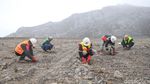 Freeport Targetkan Reklamasi 900 Ha Tambang Grasberg hingga 2030