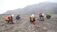 Di atas ketinggian 4.200 mdpl, pria yang disapa Tito ini memprediksi penanaman vegetasi alpine dan subalpine akan berakhir pada 2027 sampai 2030. Kendati demikian, jika kontrak Freeport habis, pemantauan akan terus berlangsung. Pemantauan itu berupa fungsi ekosistem, kualitas air hingga tanamannya. Pemantauan juga akan dilakukan sampai 50 tahun ke depan mesti operasional tambang telah selesai.