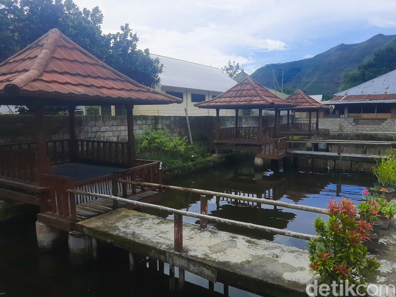 Ikan Nila Khas Sembalun; ikan nila bumbu kuning yang rasanya gurih asam bikin ketagihan.