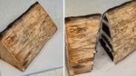 Wow! 10 Kue Ini Berbentuk Persis Benda Aslinya