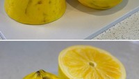 Jika dilihat sekilas, kamu tidak akan menyangka bahwa sebenarnya lemon berwarna kuning ini adalah kue. Lapisan kue itu terlihat ketika dipotong. Foto: Instagram @lukevincentini