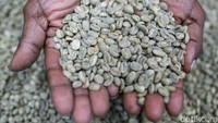 Heri Herman Aibekob selaku pendamping petani Koperasi Kopi Amungme Gold bercerta kepada detikcom beberapa waktu lalu, awalanya bibit kopi ini dari Wamena dan ditanam di daerah di sekitar tambang Freeport. Dengan melibatkan 103 petani di kampung tersebut, PTFI dan koperasi ini memproduksi 1,5 ton kopi Amungme Gold per tahun.