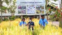 Freeport memberikan 11.566 beasiswa sejak 1996 dan mengelola 6 Asrama. Selain itu Freeport juga membangun Institut Pertambangan Nemangkawi yang telah mendidik lebih dari 4.000 siswa (91% dari Papua) dan menyerap 2.764 lulusan untuk bekerja di Freeport.