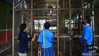 detikcom bersama MIND ID mengadakan program Jelajah Tambang berisi ekspedisi ke daerah pertambangan Indonesia. Detikcom menyambangi kota-kota industri tambang di Indonesia untuk memotret secara lengkap bagaimana kehidupan masyarakat dan daerah penghasil mineral serta bagaimana pengolahannya. Untuk mengetahui informasi lebih lengkap, ikuti terus beritanya di detik.com/jelajahtambang.