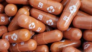 AS Akan Izinkan Penggunaan Pil COVID-19 Molnupiravir