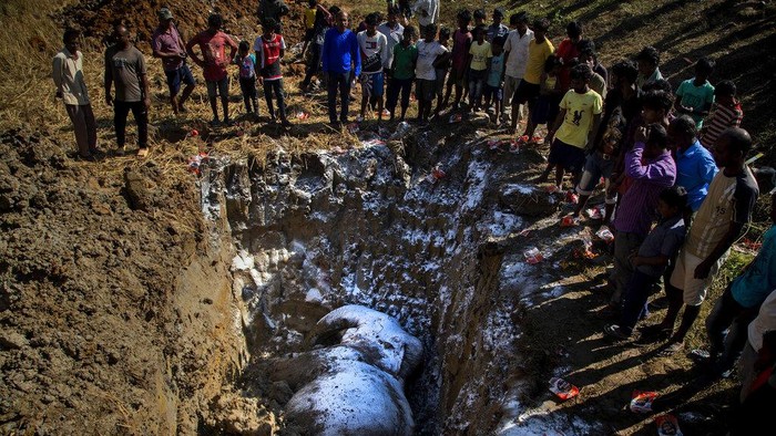 Pemakaman Mengharukan 2 Gajah yang Mati Ditabrak Kereta di India Sebuah kereta penumpang menabrak dan membunuh dua gajah liar di negara bagian Assam, India timur laut. Kini gajah nahas itu dikuburkan. (AP Photo/Anupam Nath)