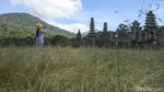 Pesona Danau Tamblingan Bali yang Cocok Buat Healing