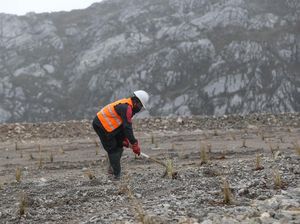 Kontrak Freeport Habis 2041, Bagaimana Nasib Reklamasi Area Tambang?