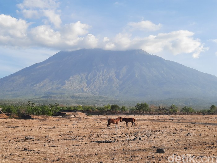 Savana Tianyar
