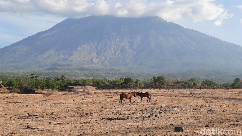 Savana Tianyar