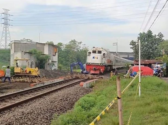 Viral Puluhan Bebek Tertabrak Kereta Api