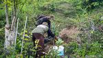 Potret Gunung Kuniran di Kulon Progo yang Mau Diubah Jadi Kebun Buah