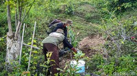 Setelah penanaman, dilanjutkan upaya perawatan. Dalam tahap ini, sejumlah pihak akan dilibatkan di antaranya Balai Pengelolaan Daerah Aliran Sungai Hutan Lindung (BPDASHL) Serayu Opak Progo, Dinas Lingkungan Hidup (DLH) hingga penyuluh pertanian dan kelompok tani di masing-masing tempat. (Jalu Rahman Dewantara/detikTravel)