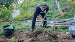 Potret Gunung Kuniran di Kulon Progo yang Mau Diubah Jadi Kebun Buah