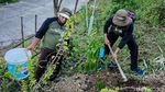Potret Gunung Kuniran di Kulon Progo yang Mau Diubah Jadi Kebun Buah