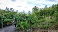 Upaya pengembangan agrowisata di Gunung Kuniran itu merupakan bagian dari program rehabilitasi Daerah Aliran Sungai (DAS) yang diinisiasi oleh Kementerian Lingkungan Hidup dan Kehutanan (KLHK). Total ada 250 hektar lahan yang digarap di program itu. (Jalu Rahman Dewantara/detikTravel)
