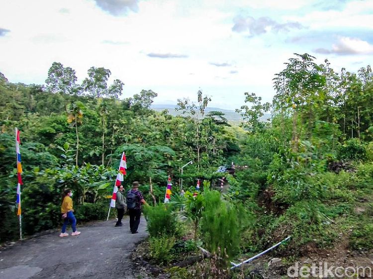 Potret Gunung Kuniran di Kulon Progo yang Mau Diubah Jadi Kebun Buah