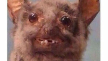 Berangkat kerja berantakan terus muka dan penampilannya. Foto: corporate_millennial_memes via Bored Panda