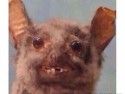 10 Meme Kerja di Era Sekarang, Millennials Can Relate