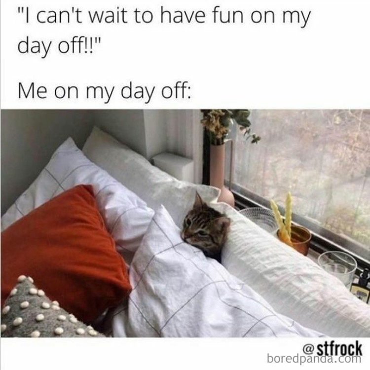 10 meme kerja di era modern