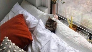 Hari libur adalah waktunya tidur. Foto: corporate_millennial_memes via Bored Panda