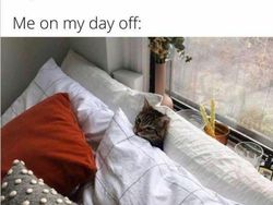 10 Meme Kerja di Era Sekarang, Millennials Can Relate