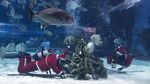 Unik! Sinterklas di Hungaria Dekorasi Pohon Natal Ditemani Hiu