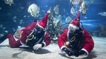 Unik! Sinterklas di Hungaria Dekorasi Pohon Natal Ditemani Hiu