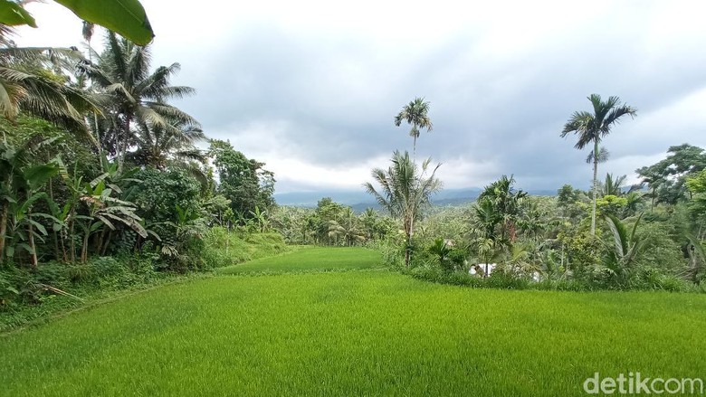 Desa Tetebatu NTB Desa Tetebatu NTB