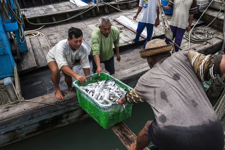 3 Fakta Desa Tomalou Tidore, Kampung Nelayan yang Punya Teknik Mancing Huhate
