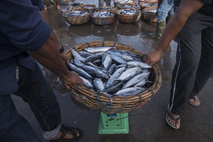 3 Fakta Desa Tomalou Tidore, Kampung Nelayan yang Punya Teknik Mancing Huhate